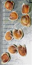  Seeds